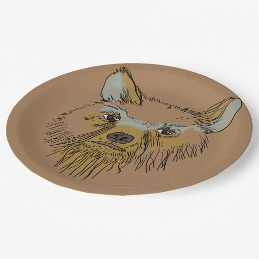 Assiettes En Carton Ours (Angle)