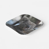 Assiettes En Carton Ours de Koala dans l'arbre (Angulaire)