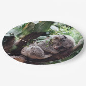 Assiettes En Carton Ours de koala mignon détendant dans un arbre (Angle)