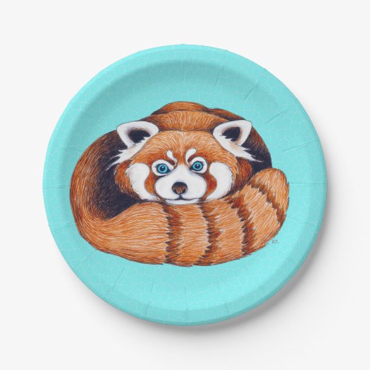 Assiettes En Carton Ours de Panda rouge turquoise (Devant)
