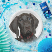 Assiettes En Carton Ours gris brillant (Fête)