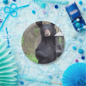 Assiettes En Carton Ours noir (Fête)