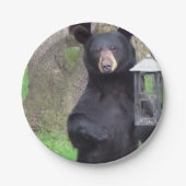 Assiettes En Carton Ours noir (Devant)