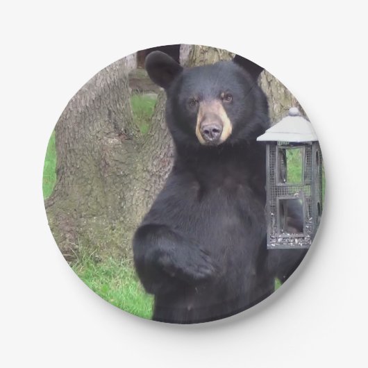 Assiettes En Carton Ours noir (Devant)