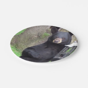 Assiettes En Carton Ours noir