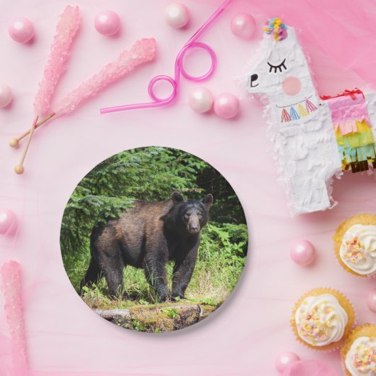 Assiettes En Carton Ours noir Alpha (Fête)