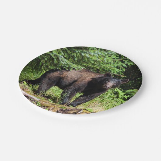 Assiettes En Carton Ours noir Alpha (Angle)