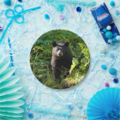 Assiettes En Carton Ours noir curieux (Fête)