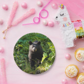 Assiettes En Carton Ours noir curieux (Fête)