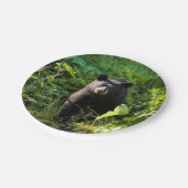 Assiettes En Carton Ours noir curieux (Angle)