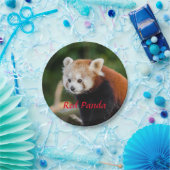 Assiettes En Carton Ours Panda Rouge (Fête)