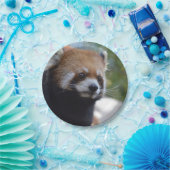 Assiettes En Carton Ours panda rouge doux (Fête)