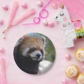 Assiettes En Carton Ours panda rouge doux (Fête)