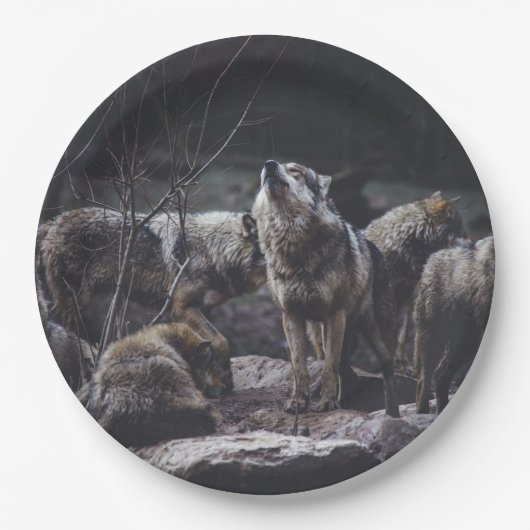 Assiettes En Carton Pack Wolf (Devant)