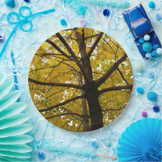 Assiettes En Carton Paire d'érables jaunes Nature d'automne (Fête)