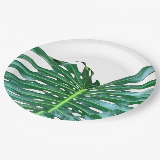 Assiettes En Carton Palm Leaf, feuillage tropical, forêt tropicale (Angle)