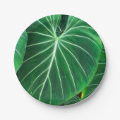 Assiettes En Carton Palm Leaf, feuillage tropical, forêt tropicale (Devant)