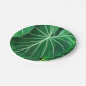 Assiettes En Carton Palm Leaf, feuillage tropical, forêt tropicale (Angle)