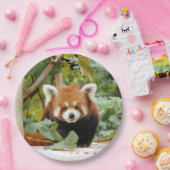 Assiettes En Carton Panda rouge (Fête)