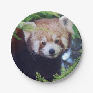 Assiettes En Carton Panda rouge