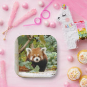 Assiettes En Carton Panda rouge (Fête)