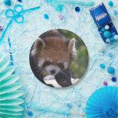 Assiettes En Carton Panda rouge de vagabondage (Fête)