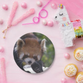 Assiettes En Carton Panda rouge de vagabondage (Fête)