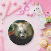 Assiettes En Carton Panda rouge extraordinaire (Fête)