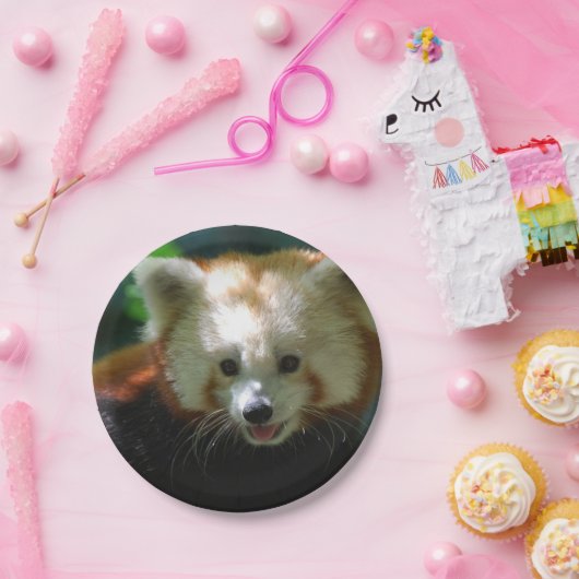 Assiettes En Carton Panda rouge extraordinaire (Fête)