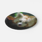 Assiettes En Carton Panda rouge extraordinaire (Angle)