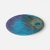 Assiettes En Carton Paon pourpre et turquoise (Angle)