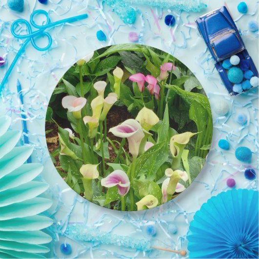 Assiettes En Carton papier lily (Fête)