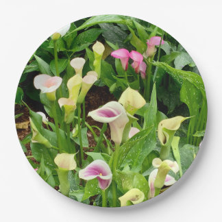 Assiettes En Carton papier lily