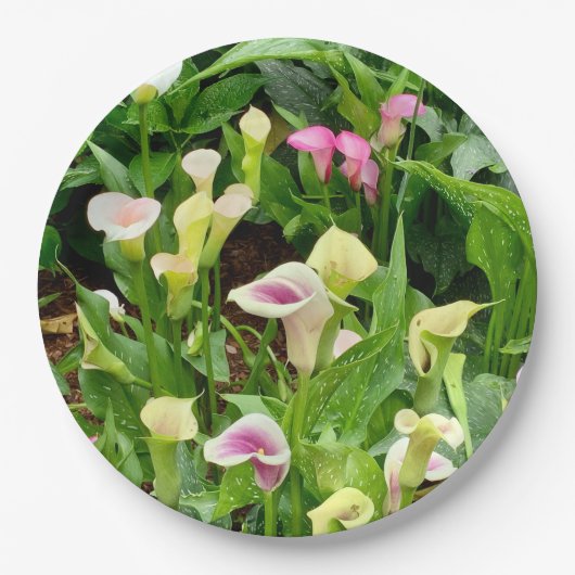 Assiettes En Carton papier lily (Devant)
