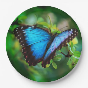 Assiettes En Carton Papillon bleu de Morpho