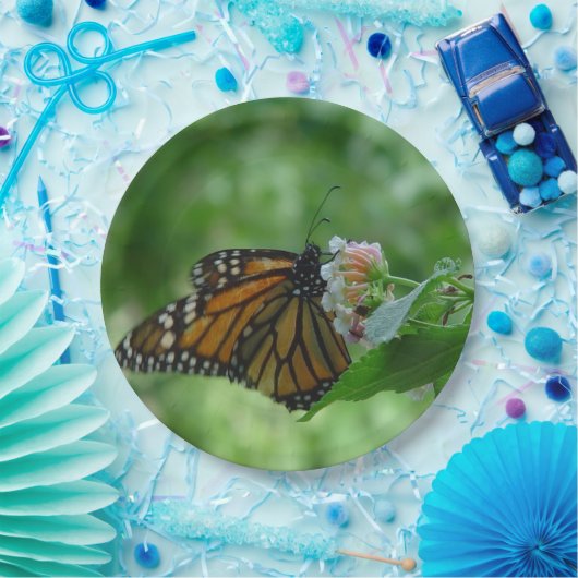 Assiettes En Carton Papillon monarque Fleur rose blanche (Fête)