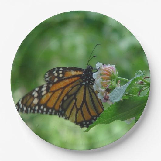 Assiettes En Carton Papillon monarque Fleur rose blanche (Devant)