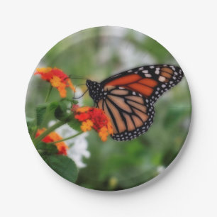 Assiettes En Carton Papillon Monarque sur Orange et Lantana Rouge