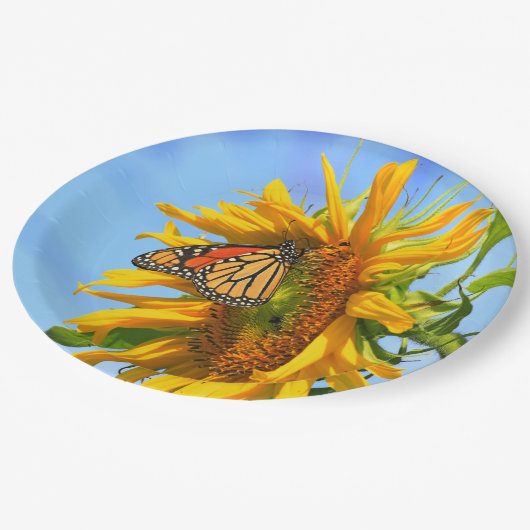 Assiettes En Carton Papillon monarque sur un tournesol (Angle)