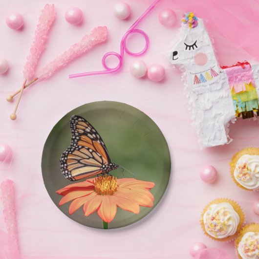 Assiettes En Carton Papillon Monarque sur une fleur d'orange (Fête)