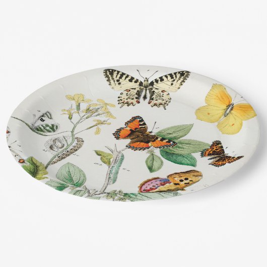 Assiettes En Carton Papillons, Caterpillar, William Forsell Kirby (Angle)