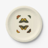 Assiettes En Carton Papillons lumineux par Pieter Cramer (Devant)