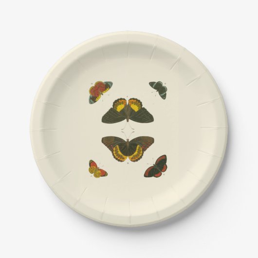 Assiettes En Carton Papillons lumineux par Pieter Cramer (Devant)