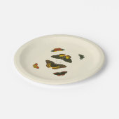 Assiettes En Carton Papillons lumineux par Pieter Cramer (Angle)