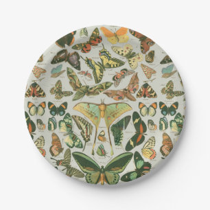 Assiettes En Carton Papillons Vintages papillons d'antiquités Art