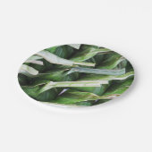 Assiettes En Carton Paquets en feuille de bananier enveloppés (Angle)