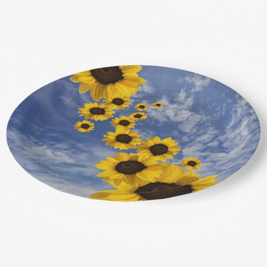 Assiettes En Carton Parfums jaunes bleu ciel (Angle)