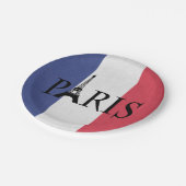 Assiettes En Carton Paris (Angle)