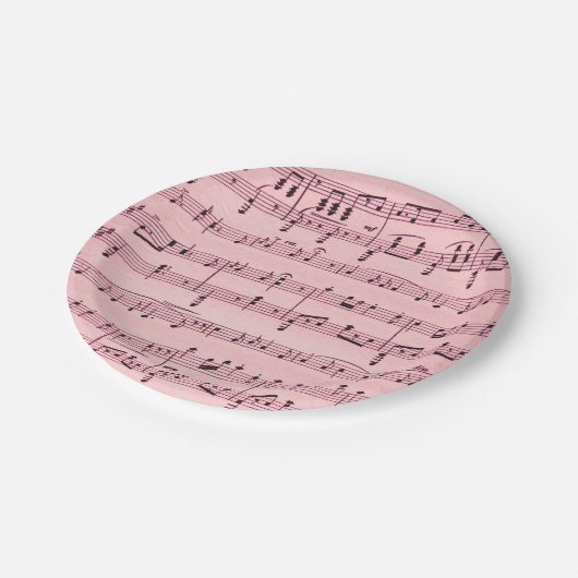 Assiettes En Carton Partition rose (Angle)