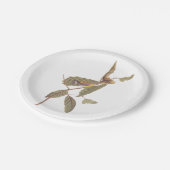 Assiettes En Carton Paruline de Swainson d'Audubon sur chêne Branche (Angle)